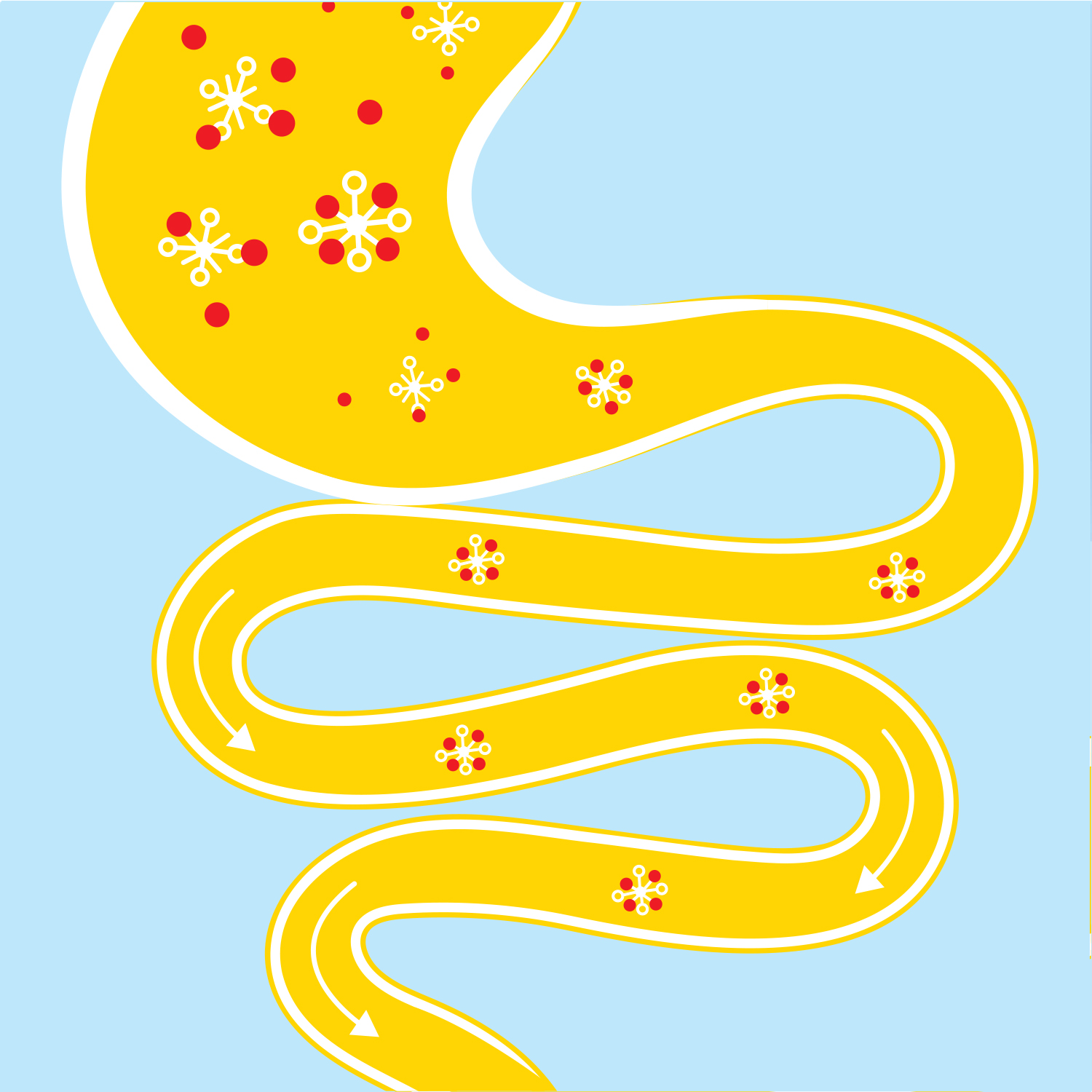 silocgel-tutkimus-kuva1