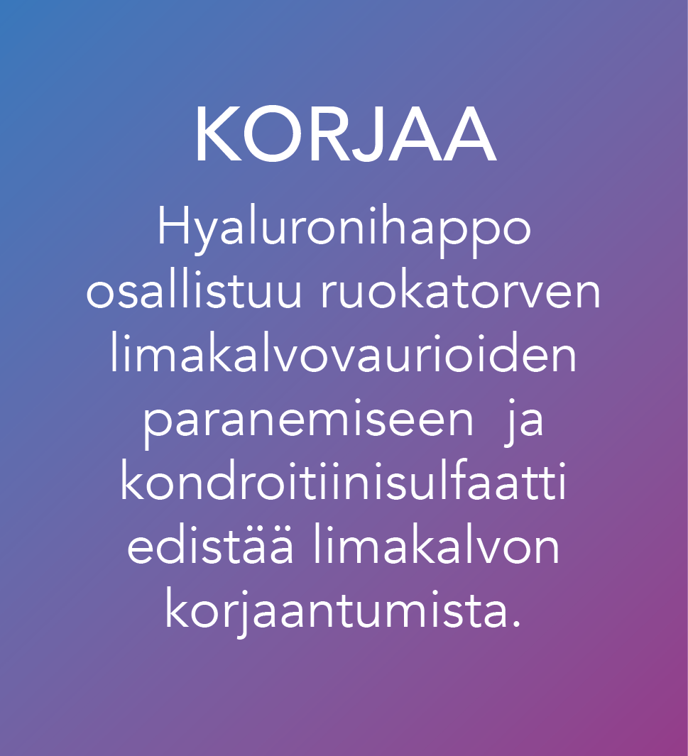 KORJAA
Hyaluronihappo
osallistuu ruokatorven
limakalvovaurioiden
paranemiseen ja
kondroitiinisulfaatti
edistää limakalvon
korjaantumista.