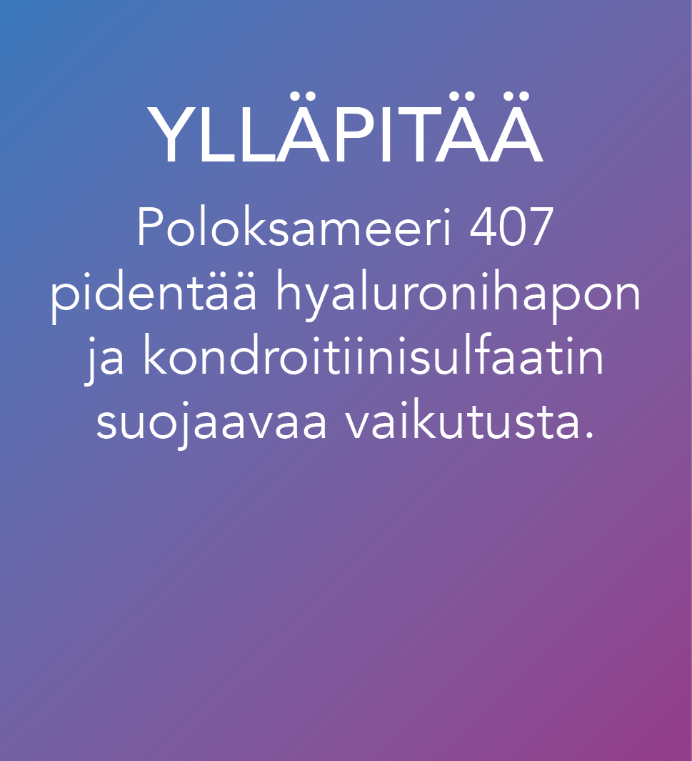 YLLÄPITÄÄ
Poloksameeri 407
pidentää hyaluronihapon
ja kondroitiinisulfaatin
suojaavaa vaikutusta.
